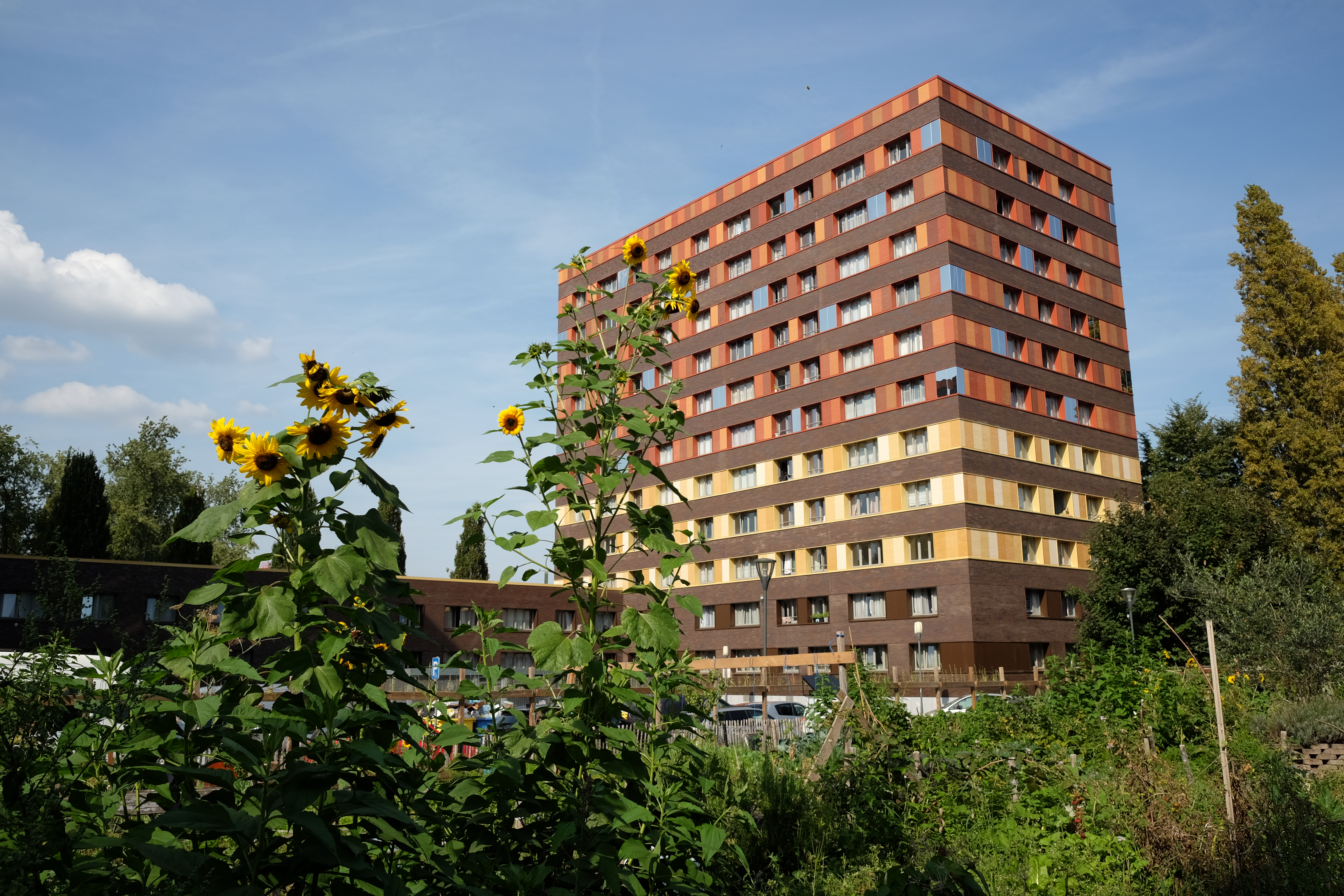 Marche exploratoire de l'Ecole d'Urbanisme Nomade (image: Cifas)